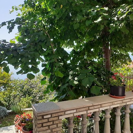 Dada Daire Senj  Oda fotoğraf