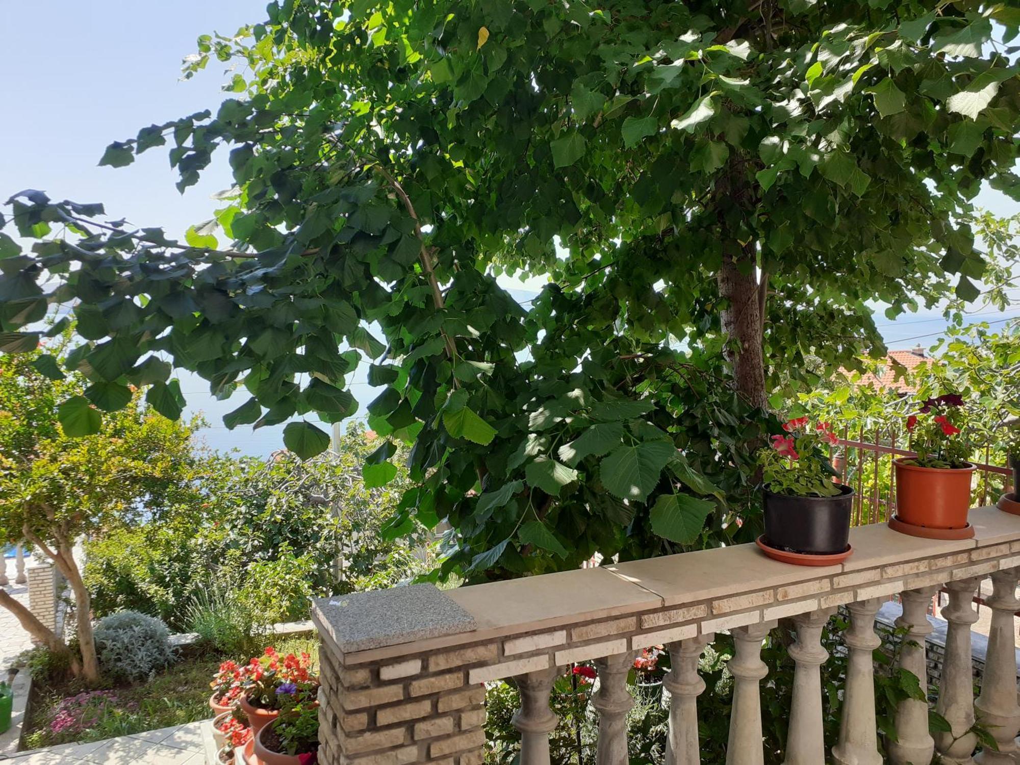 Dada Daire Senj  Oda fotoğraf